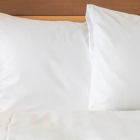Best Western Clermont Ferrand Centre Clermont-Ferrand