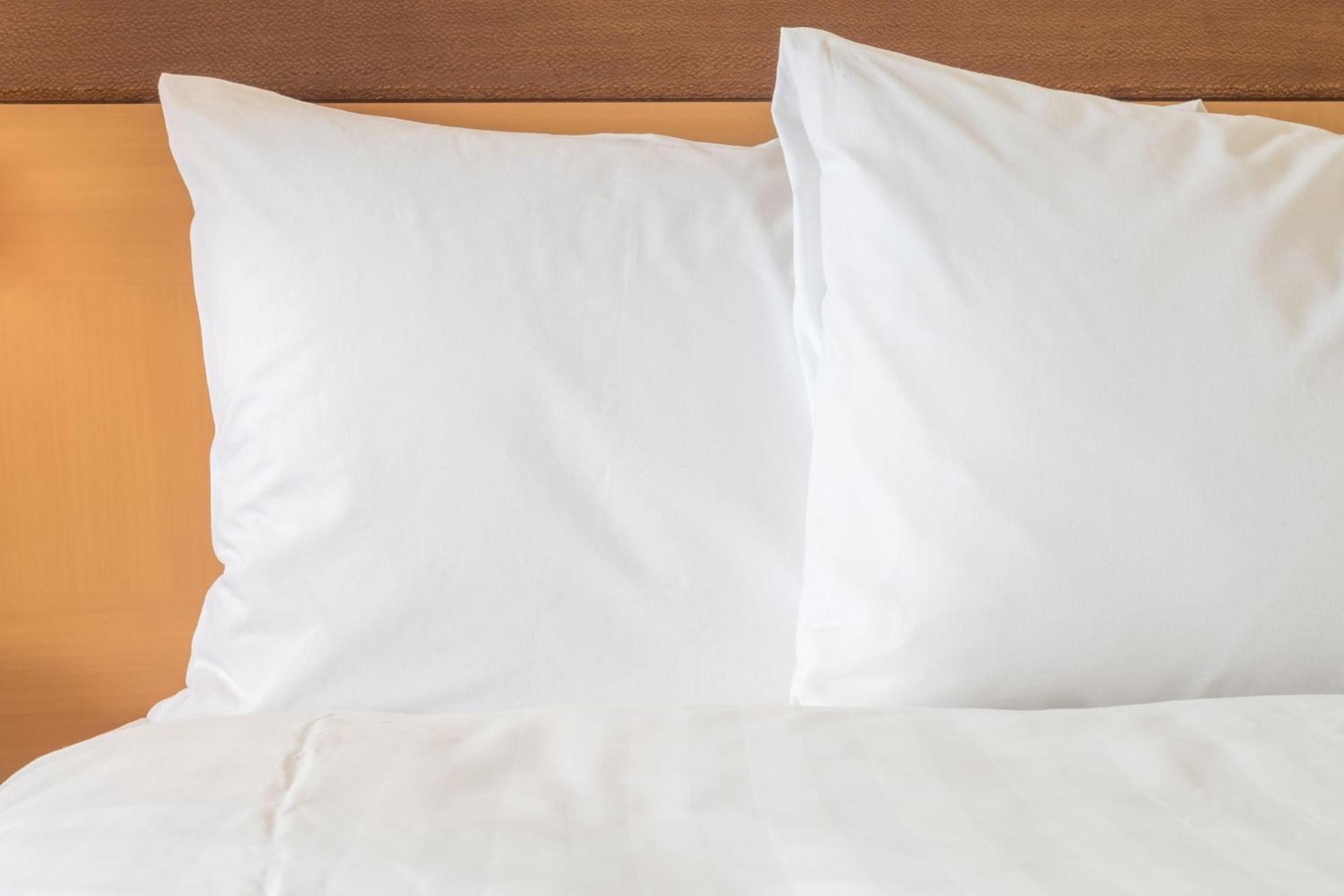 Hotel Ferrand Centre By Ihg 4*
